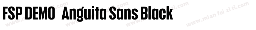 FSP DEMO   Anguita Sans Black Regul字体转换